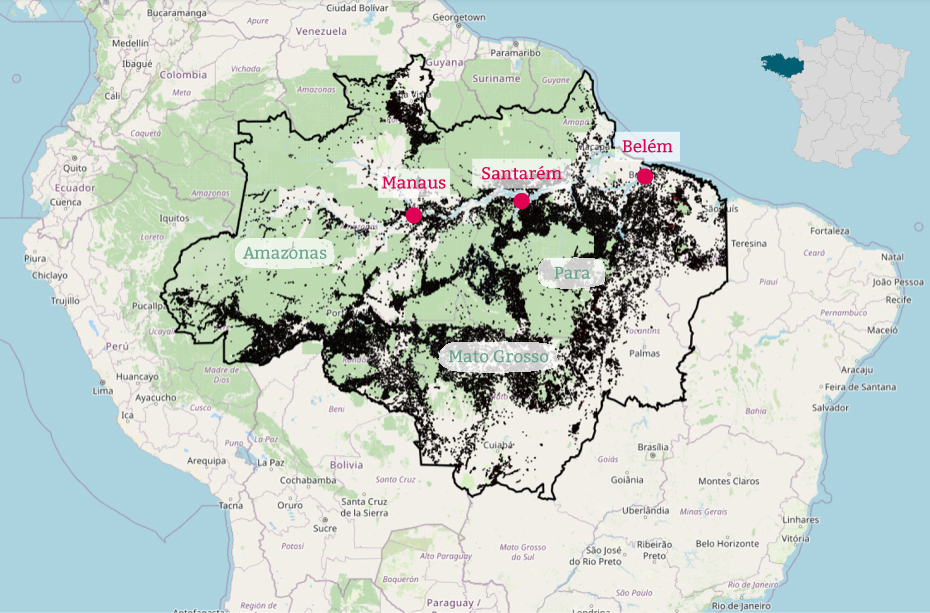 Image Carte déforestation au Bresil